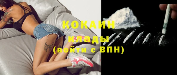 винт Карпинск