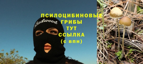 мдма Касимов